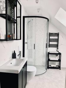 ein Bad mit einer Dusche, einem WC und einem Waschbecken in der Unterkunft Apartamenty KAHOY balia pomost Kozin in Kozin