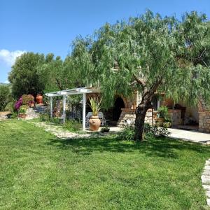 een tuin met een prieel en een boom bij Tarohouse Marina di Camerota in Marina di Camerota