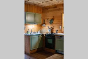 una cocina con electrodomésticos verdes y paredes de madera en Le chalet des carrières en Chastre-Villeroux-Blanmont