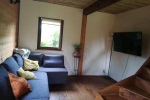 ein Wohnzimmer mit einem blauen Sofa und einem Flachbild-TV in der Unterkunft Le chalet des carrières in Chastre-Villeroux-Blanmont