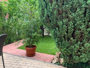 Vonkajšia záhrada v ubytovaní Balaton Apartman