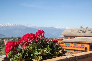 Vista generica sulle montagne o vista sulle montagne dall'interno dell'hotel