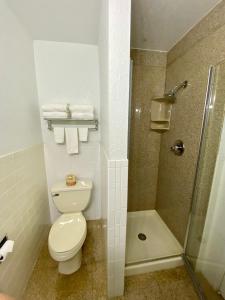 ein Bad mit einem WC und einer Dusche in der Unterkunft Geary Parkway Motel in San Francisco