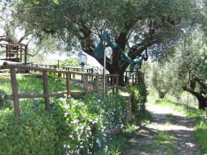 Zahrada ubytování Agriturismo La Casa Vecchia