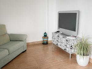 TV a/nebo společenská místnost v ubytování Disfruta de unos días en la playa ¡Y mucho más!