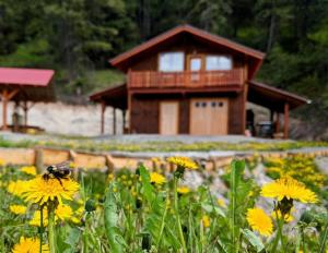 Zahrada ubytování Tschurtschenthaler Lodge