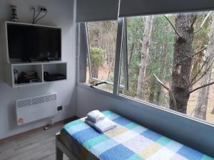 1 dormitorio con 1 cama y una ventana con un árbol en ILUSIONES Bosque y Mar en Mar de las Pampas