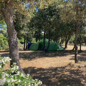 une tente verte au milieu des arbres dans l'établissement Camping Sugar, à Mandre