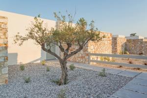 Fotografia z galérie ubytovania T7 LUXURY VILLAS PAROS v destinácii Kampos Paros