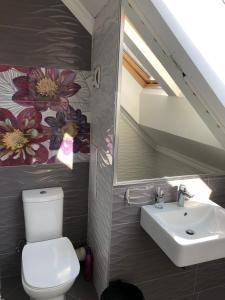 a bathroom with a toilet and a sink and a mirror at Стаи за гости Топ Старс Смолян in Smolyan