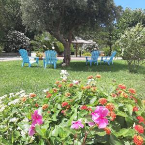 two blue chairs and some flowers in the grass at Hotel Parco Delle Rose in Acquappesa