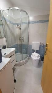 Kúpeľňa v ubytovaní Apartman Volme