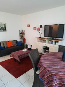 TV a/nebo společenská místnost v ubytování Le Faidherbe