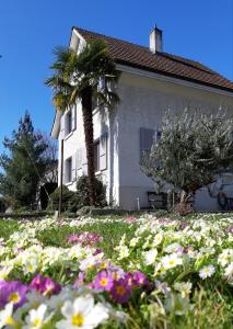 Giardino di B&B Kalimera Pratteln