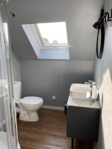 ein Badezimmer mit einem WC, einem Waschbecken und einem Dachfenster in der Unterkunft Gîte les Retrouvailles in Saint-Quentin-Lamotte-Croix-au-Bailly