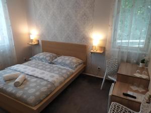 Postel nebo postele na pokoji v ubytování Hotel Boršičanka