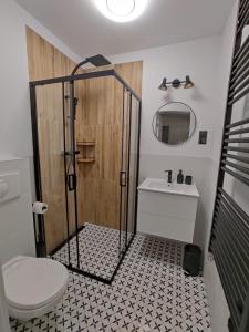 a bathroom with a shower with a toilet and a sink at Cicha 3 in Sztutowo +14 photos