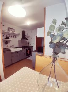 Fotografie z fotogalerie ubytování Apartamento Capelot v destinaci Jaca
