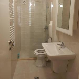 a bathroom with a shower and a toilet and a sink at Sveti Stefan- Apartment Dora in Sveti Stefan