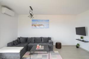 salon z szarą kanapą i telewizorem w obiekcie Apartmani Manuela w Okrugu Gornjim