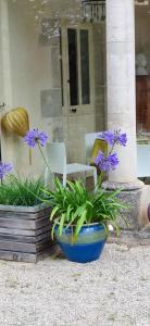 Zahrada ubytování Manoir de L'Echauguette