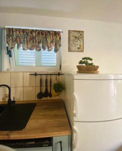 Kuchyň nebo kuchyňský kout v ubytování Apartments 'Stine'