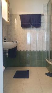 ein Bad mit einem Waschbecken, einem WC und einer Dusche in der Unterkunft Apartments Riljic in Hvar