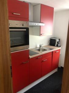 Kuchyň nebo kuchyňský kout v ubytování Babsi Appartments - leben am Land