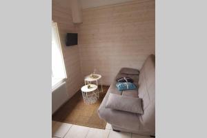 sala de estar con sofá y mesa en Maisonnette en pierre indépendante de 20 m2 en Saint-Cirgues-sur-Couze