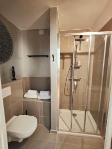 bagno con doccia e servizi igienici. di Le duplex d'Albert logement d'exception à Namur a Namur