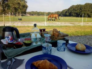 a table with a tray of food and a horse in a field at Marduijn in Lomm