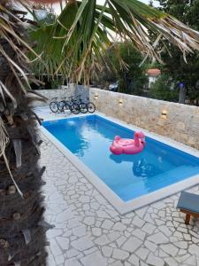 einen Pool mit einem rosa Schwimmer im Wasser in der Unterkunft House Sidro, Stari Grad in Stari Grad