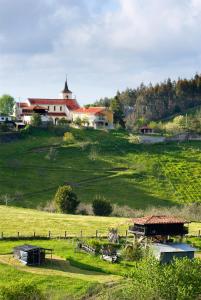 a green field with houses and a church on a hill at Casa Rural Los Sombredales in Soto del Barco