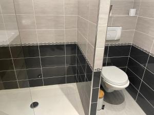 La salle de bains est pourvue d'une douche et de toilettes. dans l'établissement BORDEAUX CENTRE BELLE DUPLEX, à Bordeaux