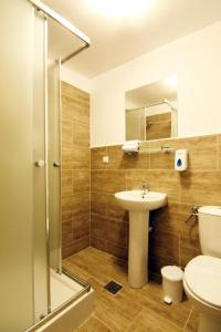 a bathroom with a sink and a toilet and a shower at CASA GRINDA in Sibiu