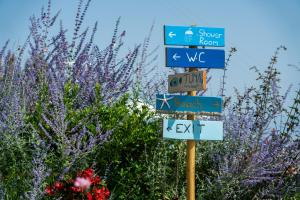 a pole with street signs in front of purple flowers at Rigas Boutique Hotel & Spa in Afitos