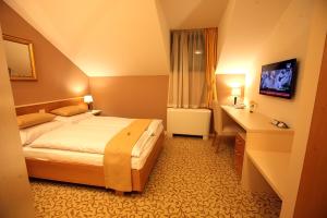 TV a/nebo společenská místnost v ubytování Hotel Gallus