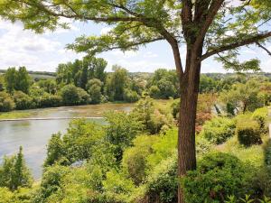 vistas a un río y a un árbol en Grande maison escapade au bord de la riviere, en Touvre
