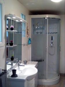 a bathroom with a shower and a sink at Le Logis d'Elisa in Cosne-Cours-sur-Loire