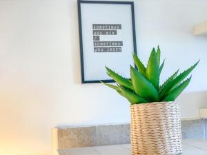 a plant in a wicker vase sitting on a table at Eco Sunshine Apartments Lumbarda in Lumbarda