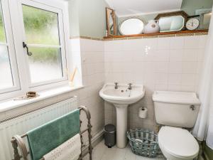 a bathroom with a toilet and a sink at Rose Cottage in Yelverton