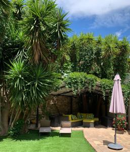 a garden with palm trees and a couch and an umbrella at SETE maison de ville avec jardin clos in Sète