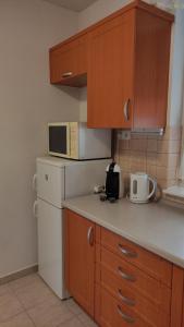 Kuchyňa alebo kuchynka v ubytovaní Mona apartment