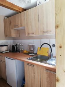 a kitchen with wooden cabinets and a sink at Leśniczówka Święty Spokój Bieszczady in Ropienka