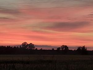 Ảnh trong thư viện ảnh của Zaķu muiža ở Anspoki