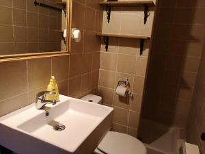a bathroom with a sink and a toilet and a mirror at La Casa Blanca del Alto Tajo in Ablanque
