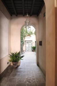 un pasillo de una casa con una maceta en Architecture & Design Home in Triana, en Sevilla