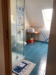uma casa de banho com um WC e uma cabina de duche em vidro. em Mała Baza Stobna 5 em Nowy Dwór Gdański