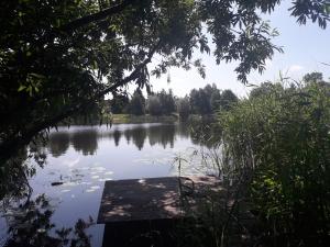 - une vue sur un lac avec un quai et des arbres dans l'établissement Mała Baza Stobna 5, à Nowy Dwór Gdański