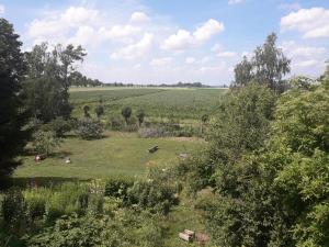 - une vue sur un grand champ d'herbe planté d'arbres dans l'établissement Mała Baza Stobna 5, à Nowy Dwór Gdański